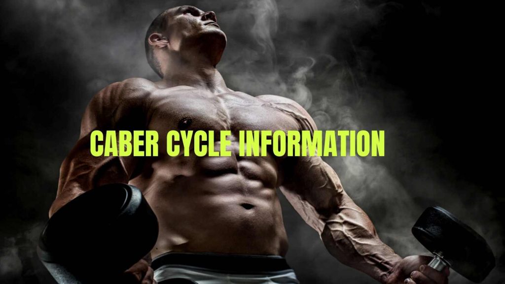 Caber cycle information
