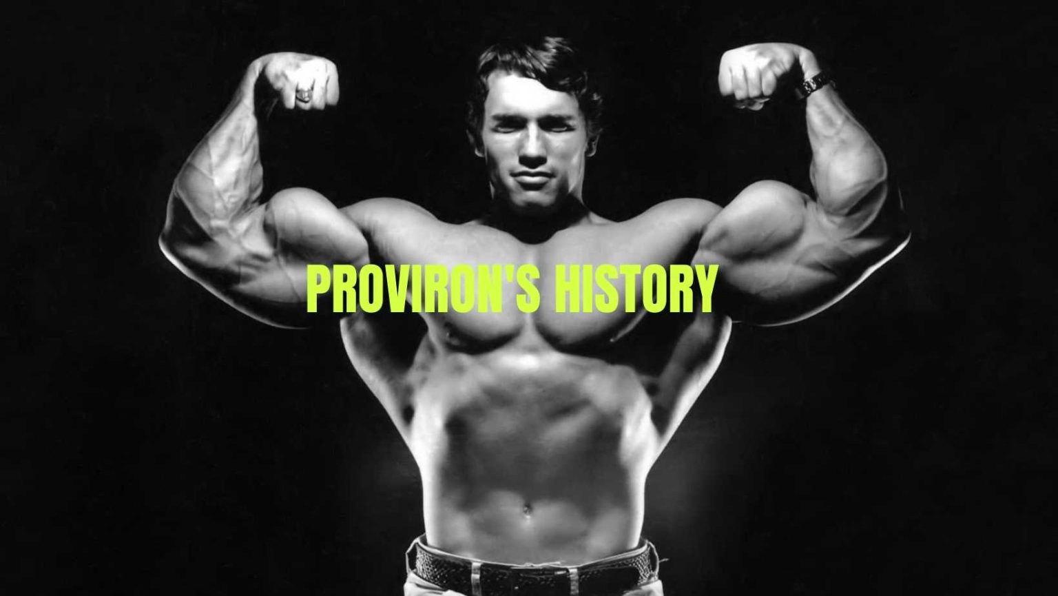 Proviron Benefits In Bodybuilding Before And After And Cycle 