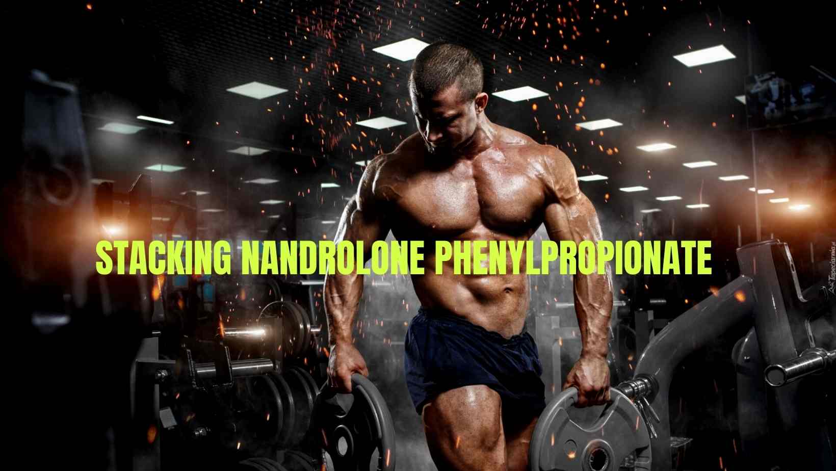 A Guide to Nandrolone Phenylpropionate Cycle, Stacking, and What to