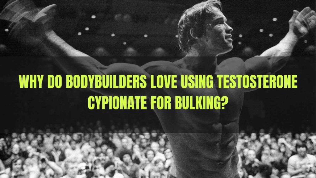 Testosterone Cypionate for bulking