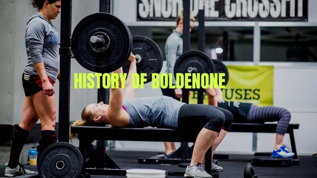 History of Boldenone