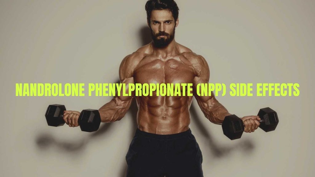 Nandrolone Phenylpropionate Side Effects