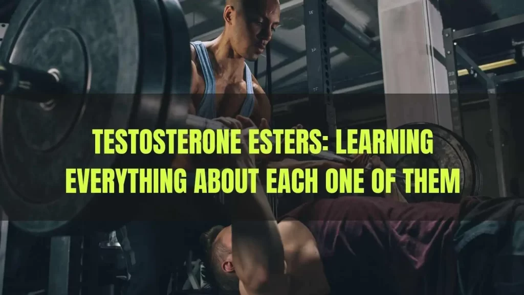 Testosterone-Esters