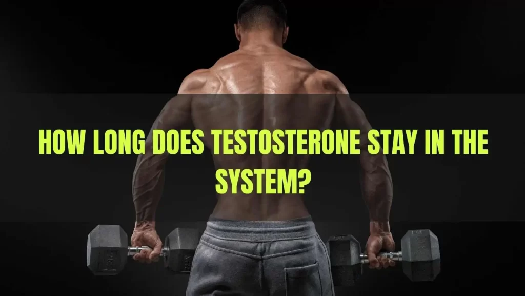 Testosterone esters bodybuilding