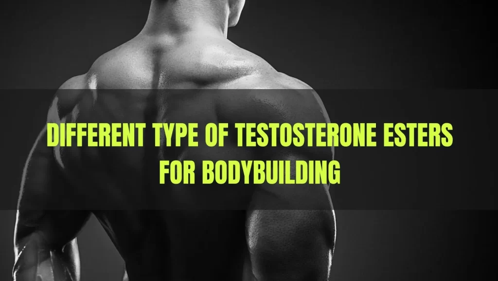 Type of Testosterone Esters